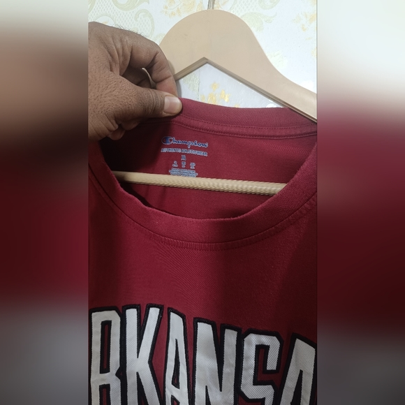 Champion - Picture 3 of 5